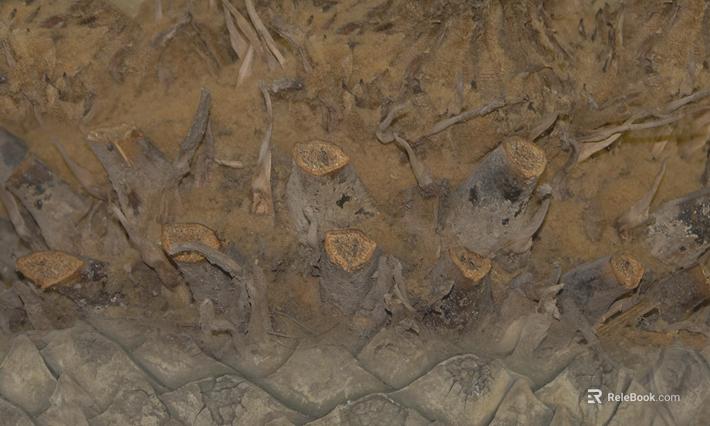 Trunk texture