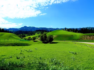 Wild Scenery texture (ID:ffaeg06549)