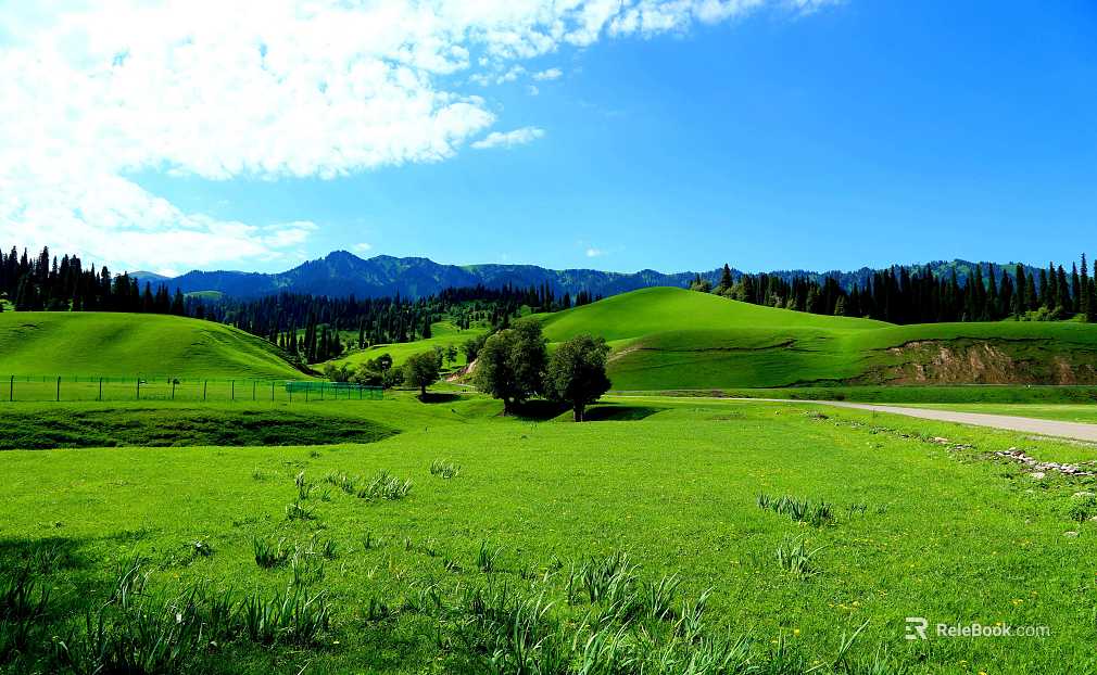 Wild Scenery texture