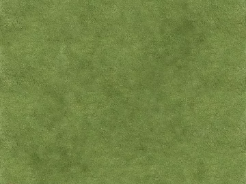 Turf texture (ID:ffajg34556)