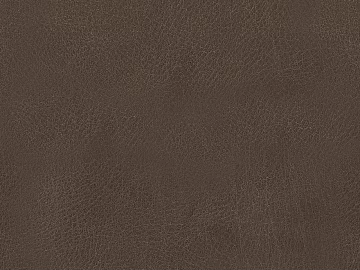 Coarse-grain leather 3d model
