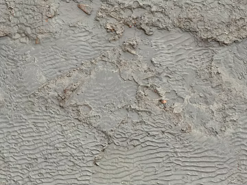 Mud ground texture (ID:ffaaf7264)