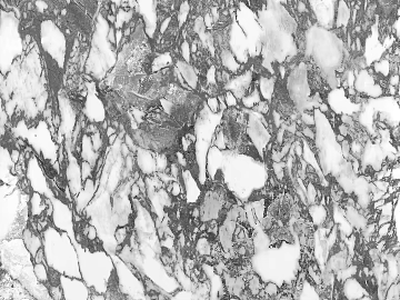 Bulgari white marble texture (ID:ffach003241)