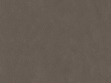 fine grain leather texture (ID:ffaeg27718)