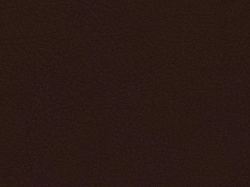 Coarse-grain leather texture (ID:ffaag81080)