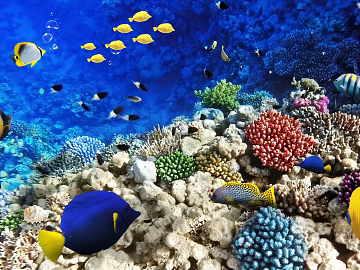 Fish tank texture (ID:ffach070656)