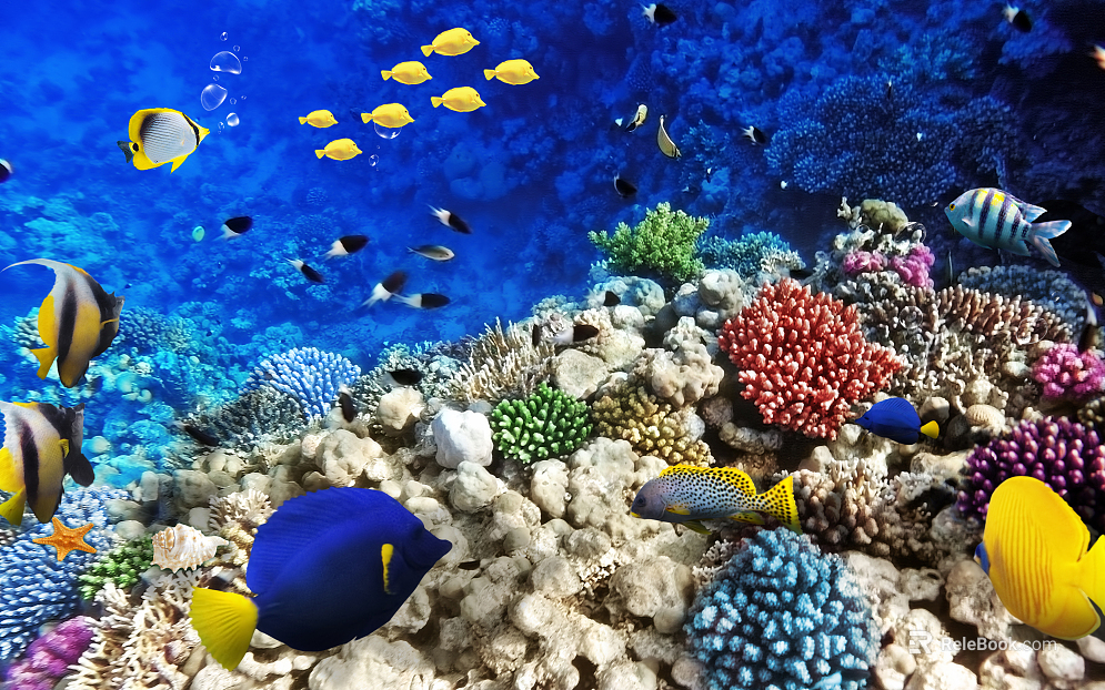 Fish tank texture