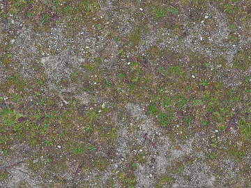 Turf texture (ID:ffagg33297)