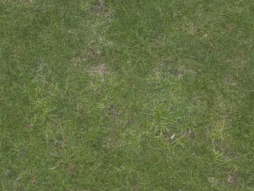 Turf texture (ID:ffach357865)