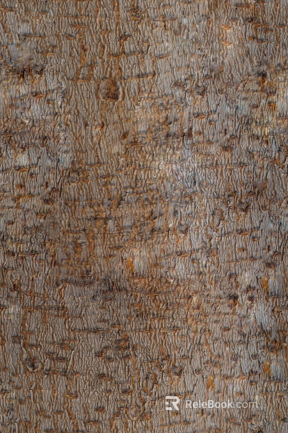bark texture