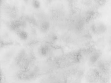 Black and White Bump texture (ID:ffajg47041)