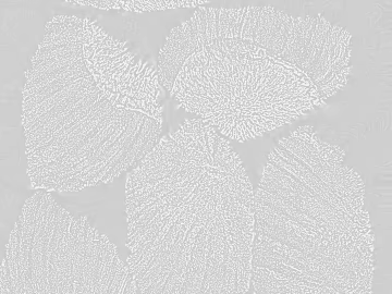 Light gray leaves texture wallpaper (ID:ffaeh957136)