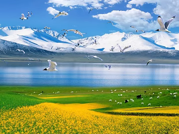 Wild Scenery texture (ID:ffaag37148)