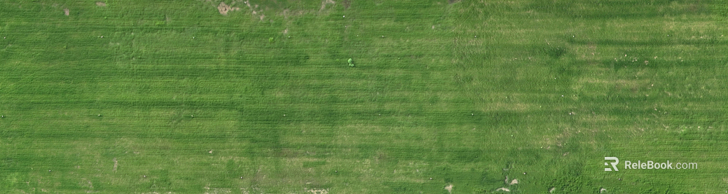 Turf texture