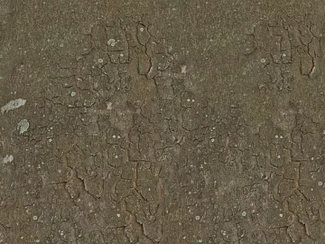 bark texture (ID:ffajg30514)