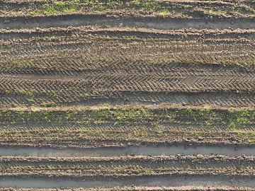 Mud ground texture (ID:ffabf2650)