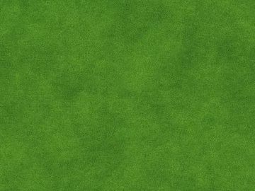 Lawn texture (ID:ffach519985)