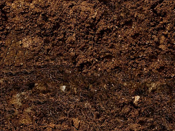 Mud texture (ID:ffabg25234)