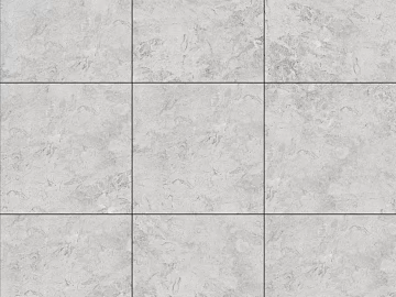 Floor Tile texture (ID:ffajg58239)