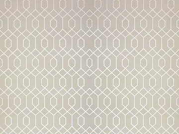 geometric line texture (ID:ffacg26750)