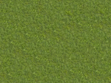 Grass Grass Slope Green Space Texture 3d model