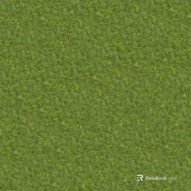Grass Grass Slope Green Space Texture texture
