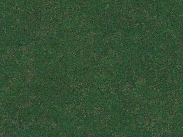 Turf texture (ID:ffacg83279)