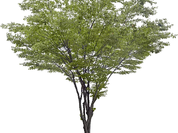 Plant painting texture (ID:ffabg57272)