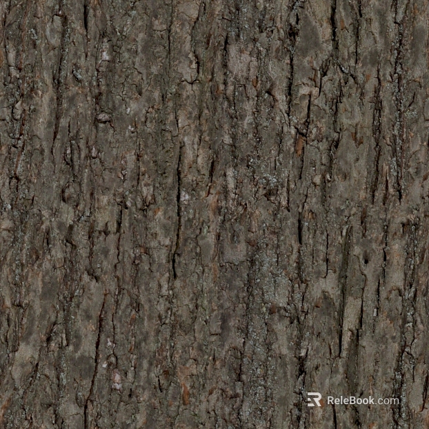 bark texture