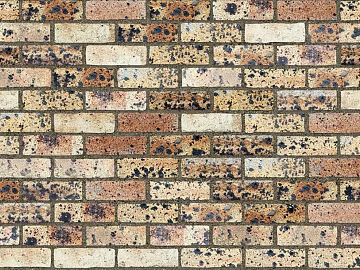 Brick wall texture (ID:ffach288791)