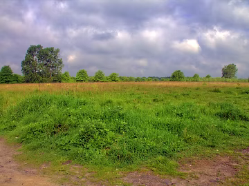 Wild Scenery texture (ID:ffabg67115)