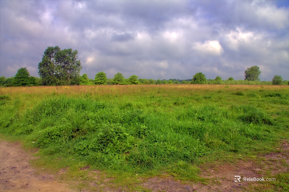 Wild Scenery texture