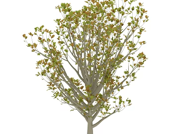 Plant painting texture (ID:ffajg98125)