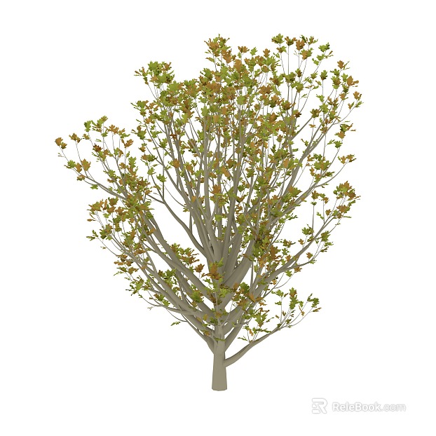 Plant painting texture