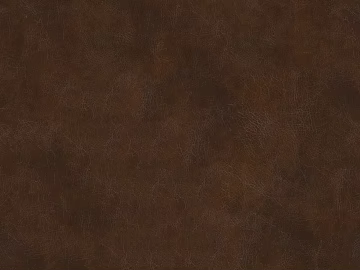 fine grain leather 3d model