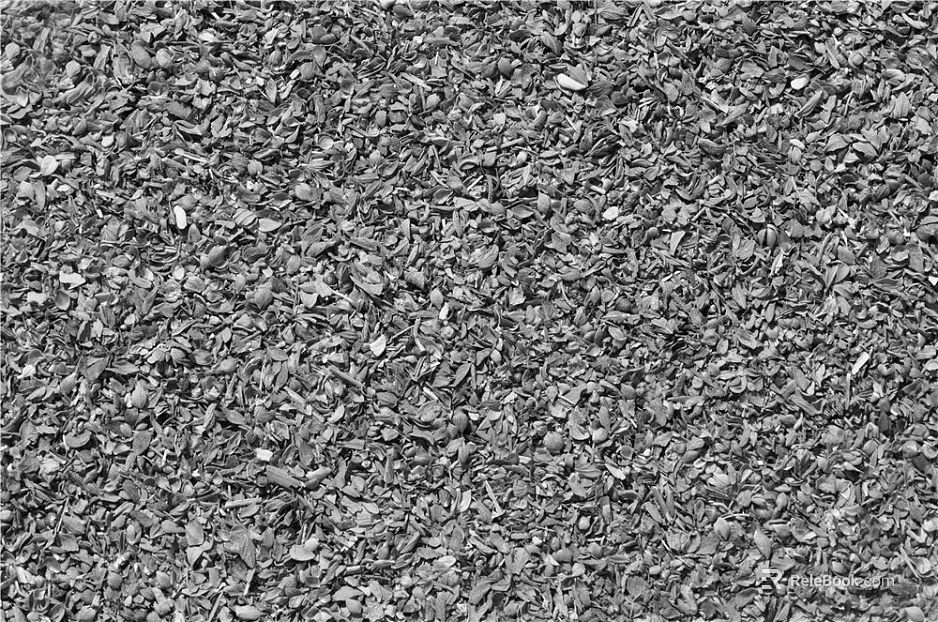 Black and White Bump texture