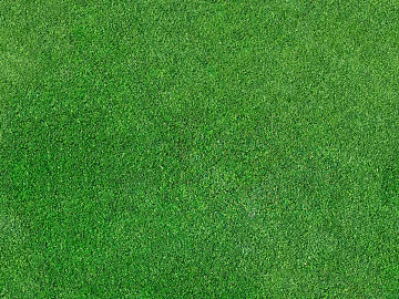 Real Texture Grass Slope Green Space Texture texture (ID:ffaeh432682)
