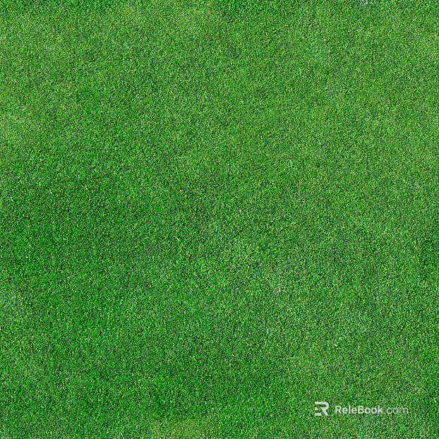 Real Texture Grass Slope Green Space Texture texture