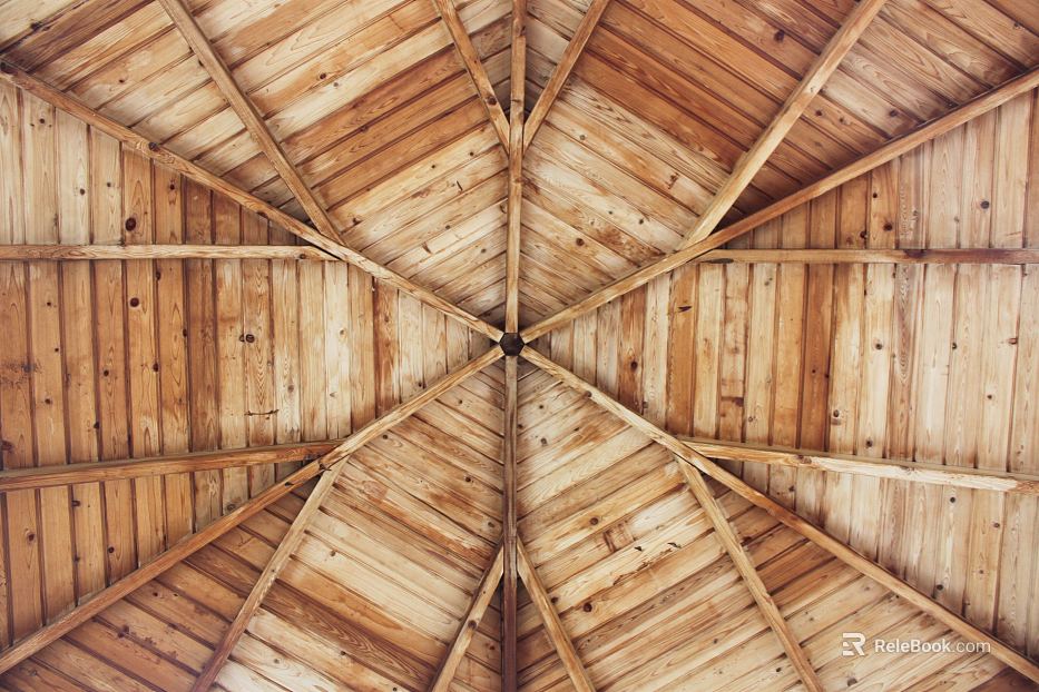 Roof interior texture
