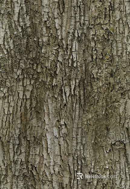bark texture
