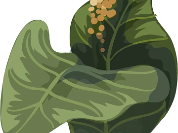 Plant painting texture (ID:ffaeg01657)