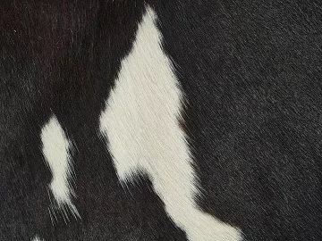 animal fur texture (ID:ffabg10529)