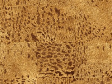 Animal Blanket Carpet texture (ID:ffagf4934)