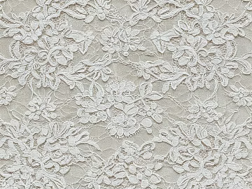 Pure white lace girl exquisite style texture (ID:ffaeh467927)