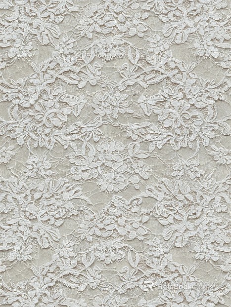 Pure white lace girl exquisite style texture