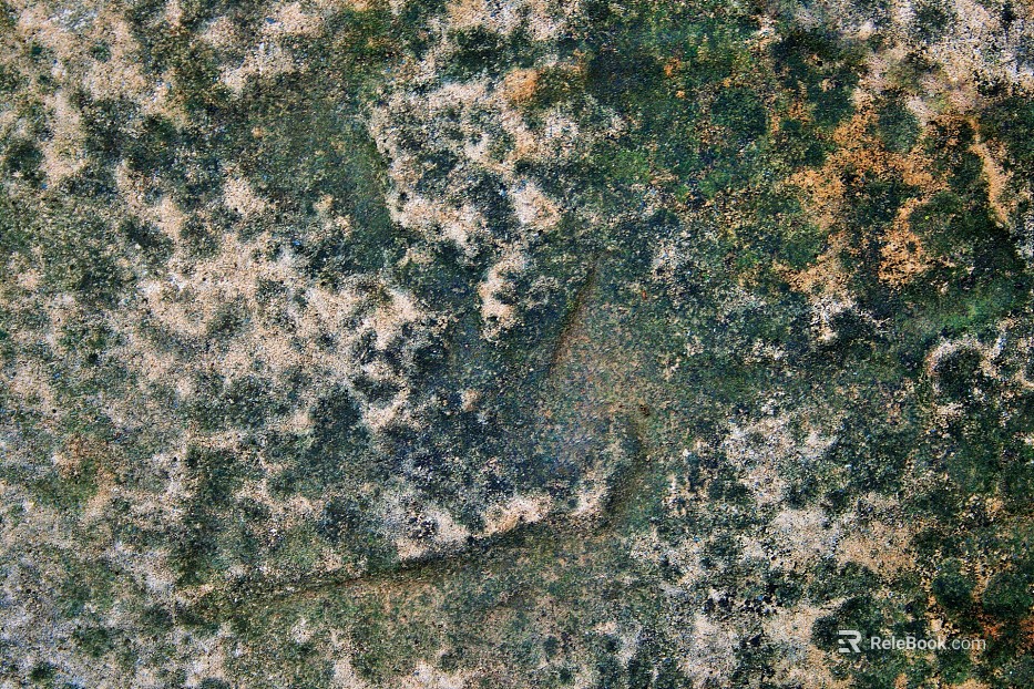 Outdoor wall surface texture