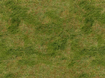 New Chinese turf texture (ID:ffach030753)