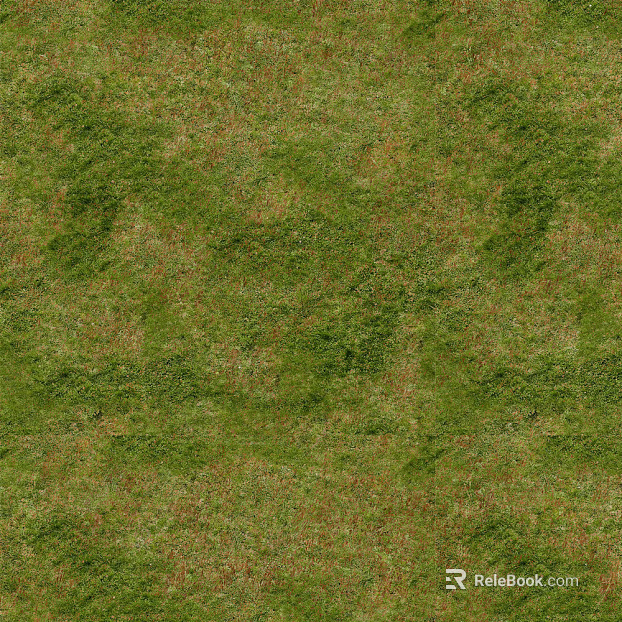 New Chinese turf texture