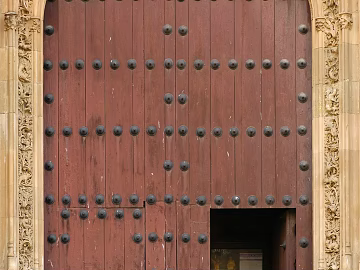 Wooden door texture (ID:ffagg50097)