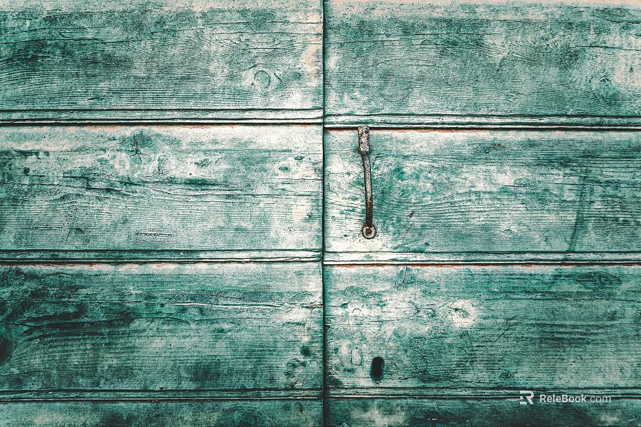 Wooden door texture
